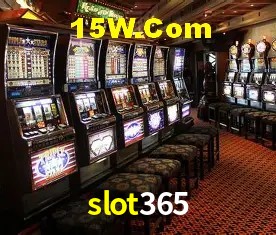 slot365 - User Statistics